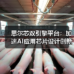 思尔芯双引擎平台：加速AI应用芯片设计创新（图1）