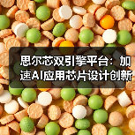 思尔芯双引擎平台：加速AI应用芯片设计创新（图4）