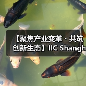 【聚焦产业变革・共筑创新生态】IIC Shanghai 2025盛大启幕 中国IC领袖峰会 | 中国IC设计成就奖颁奖典（图1）