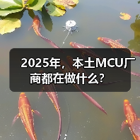 2025年,本土MCU厂商都在做什么?(图1) 2025年,本土MCU厂商都在做什么?(图1)
