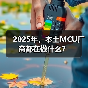 2025年,本土MCU厂商都在做什么?(图2) 2025年,本土MCU厂商都在做什么?(图2)