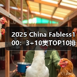 2025 China Fabless100:3+10类TOP10排行榜(图3) 2025 China Fabless100:3+10类TOP10排行榜(图3)