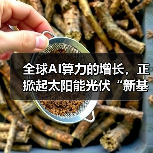 全球AI算力的增长，正掀起太阳能光伏“新基建”热潮（图4）