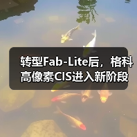 转型Fab-Lite后，格科高像素CIS进入新阶段（图4）