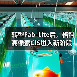 转型Fab-Lite后，格科高像素CIS进入新阶段（图1）