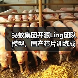 蚂蚁集团开源Ling团队模型,国产芯片训练成本降低20%(图4) 蚂蚁集团开源Ling团队模型,国产芯片训练成本降低20%(图4)