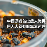 中国颁发首批载人类民用无人驾驶航空器运营合格证,低空经济迈入 “载人时代”(图1) 中国颁发首批载人类民用无人驾驶航空器运营合格证,低空经济迈入 “载人时代”(图1)