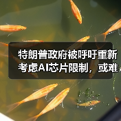 特朗普政府被呼吁重新考虑AI芯片限制,或难给政策松绑(图4) 特朗普政府被呼吁重新考虑AI芯片限制,或难给政策松绑(图4)