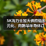 SK海力士加大供应链多元化，向韩华半导体订购210亿韩元设备（图4）