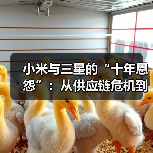 小米与三星的“十年恩怨”：从供应链危机到地位逆转（图3）
