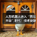 人形机器人进入“百花齐放”时代:技术突破与市场竞速下的机遇与挑战(图3) 人形机器人进入“百花齐放”时代:技术突破与市场竞速下的机遇与挑战(图3)