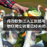 传微软张江人工智能与物联网实验室已经关闭(图4) 传微软张江人工智能与物联网实验室已经关闭(图4)