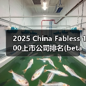 2025 China Fabless 100上市公司排名(beta版)出炉!(图2) 2025 China Fabless 100上市公司排名(beta版)出炉!(图2)