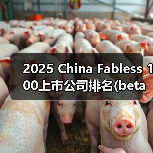 2025 China Fabless 100上市公司排名(beta版)出炉!(图3) 2025 China Fabless 100上市公司排名(beta版)出炉!(图3)
