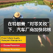 在特朗普“对等关税”下,汽车厂商加快将核心零部件运往美国(图3) 在特朗普“对等关税”下,汽车厂商加快将核心零部件运往美国(图3)