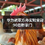 华为诺亚方舟实验室迎90后新掌门(图4) 华为诺亚方舟实验室迎90后新掌门(图4)