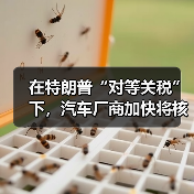在特朗普“对等关税”下,汽车厂商加快将核心零部件运往美国(图4) 在特朗普“对等关税”下,汽车厂商加快将核心零部件运往美国(图4)