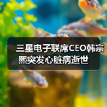 三星电子联席CEO韩宗熙突发心脏病逝世(图4) 三星电子联席CEO韩宗熙突发心脏病逝世(图4)