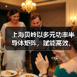 上海贝岭以多元功率半导体矩阵,赋能高效、可靠光储系统创新(图4) 上海贝岭以多元功率半导体矩阵,赋能高效、可靠光储系统创新(图4)