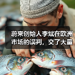 蔚来创始人李斌在欧洲市场的误判,交了大量学费(图2) 蔚来创始人李斌在欧洲市场的误判,交了大量学费(图2)