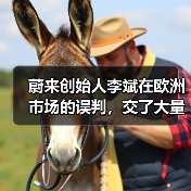 蔚来创始人李斌在欧洲市场的误判,交了大量学费(图4) 蔚来创始人李斌在欧洲市场的误判,交了大量学费(图4)