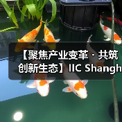 【聚焦产业变革・共筑创新生态】IIC Shanghai 2025盛大启幕 中国IC领袖峰会 | 中国IC设计成就奖颁奖典(图2) 【聚焦产业变革・共筑创新生态】IIC Shanghai 2025盛大启幕 中国IC领袖峰会 | 中国IC设计成就奖颁奖典(图2)