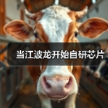 当江波龙开始自研芯片(图1) 当江波龙开始自研芯片(图1)
