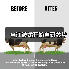 当江波龙开始自研芯片(图3) 当江波龙开始自研芯片(图3)