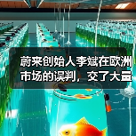 蔚来创始人李斌在欧洲市场的误判,交了大量学费(图3) 蔚来创始人李斌在欧洲市场的误判,交了大量学费(图3)