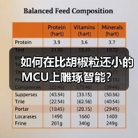 如何在比胡椒粒还小的MCU上雕琢智能？（图2）