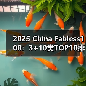 2025 China Fabless100:3+10类TOP10排行榜(图2) 2025 China Fabless100:3+10类TOP10排行榜(图2)