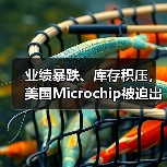 业绩暴跌、库存积压,美国Microchip被迫出售晶圆厂(图3) 业绩暴跌、库存积压,美国Microchip被迫出售晶圆厂(图3)