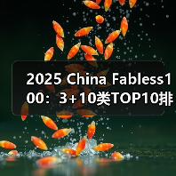 2025 China Fabless100:3+10类TOP10排行榜(图4) 2025 China Fabless100:3+10类TOP10排行榜(图4)