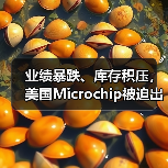 业绩暴跌、库存积压,美国Microchip被迫出售晶圆厂(图4) 业绩暴跌、库存积压,美国Microchip被迫出售晶圆厂(图4)