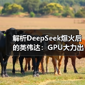 解析DeepSeek爆火后的英伟达:GPU大力出奇迹的时代过去了?(图2) 解析DeepSeek爆火后的英伟达:GPU大力出奇迹的时代过去了?(图2)