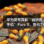 华为发布首款“阔折叠手机”Pura X，售价7499元起（图1）