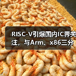 RISC-V引爆国内IC界关注，与Arm、x86三分天下局面即将形成？（图1）