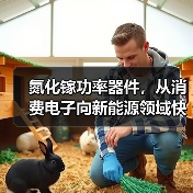 氮化镓功率器件,从消费电子向新能源领域快速渗透(图4) 氮化镓功率器件,从消费电子向新能源领域快速渗透(图4)