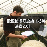 欧盟被呼吁启动《芯片法案2.0》(图1) 欧盟被呼吁启动《芯片法案2.0》(图1)