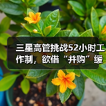 三星高管挑战52小时工作制，欲借“并购”缓解股东焦虑（图3）