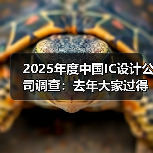 2025年度中国IC设计公司调查:去年大家过得怎么样?(图4) 2025年度中国IC设计公司调查:去年大家过得怎么样?(图4)