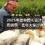 2025年度中国IC设计公司调查:去年大家过得怎么样?(图3) 2025年度中国IC设计公司调查:去年大家过得怎么样?(图3)