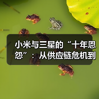 小米与三星的“十年恩怨”:从供应链危机到地位逆转(图4) 小米与三星的“十年恩怨”:从供应链危机到地位逆转(图4)