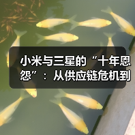 小米与三星的“十年恩怨”:从供应链危机到地位逆转(图2) 小米与三星的“十年恩怨”:从供应链危机到地位逆转(图2)
