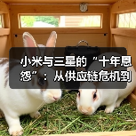 小米与三星的“十年恩怨”:从供应链危机到地位逆转(图3) 小米与三星的“十年恩怨”:从供应链危机到地位逆转(图3)