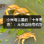 小米与三星的“十年恩怨”:从供应链危机到地位逆转(图1) 小米与三星的“十年恩怨”:从供应链危机到地位逆转(图1)