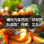 哪吒汽车回应“研发团队解散”传闻,正在进行组织流程优化(图1) 哪吒汽车回应“研发团队解散”传闻,正在进行组织流程优化(图1)