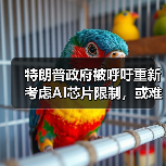 特朗普政府被呼吁重新考虑AI芯片限制，或难给政策松绑（图4）