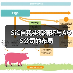 SiC自我实现循环与AOS公司的布局(图2) SiC自我实现循环与AOS公司的布局(图2)