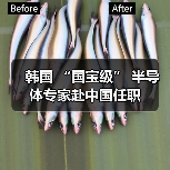 韩国 “国宝级” 半导体专家赴中国任职(图1) 韩国 “国宝级” 半导体专家赴中国任职(图1)